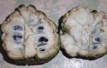 Annona squamosa - Fruit cross-section - Click to enlarge!