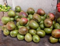 Mangifera indica - Fruits on  a market - Click to enlarge!